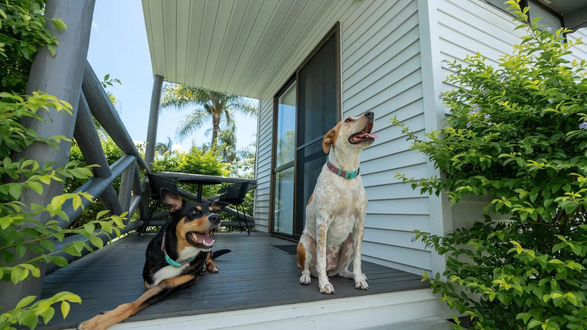Tasman Holiday Parks - Hervey Bay